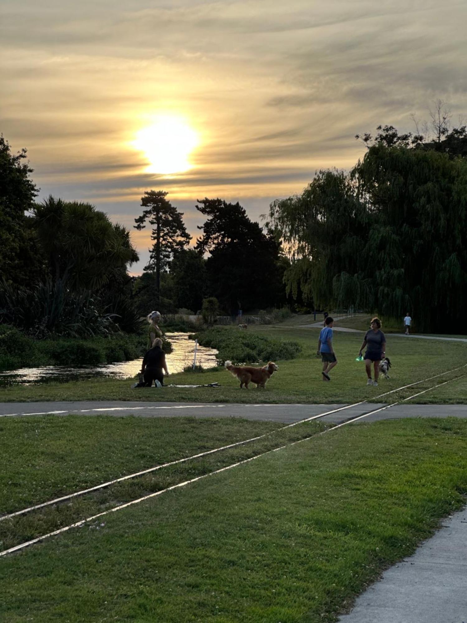 River Cottage Blenheim Esterno foto